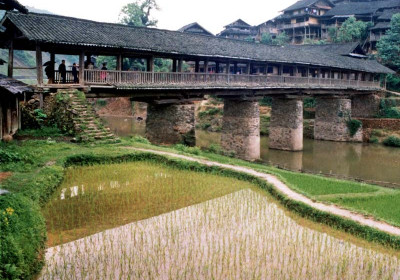 Chengyang #12