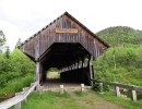 bennett