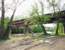 bridge of dreams