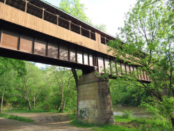 bridge of dreams