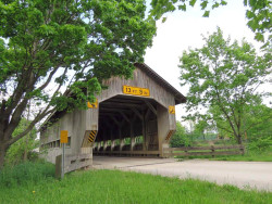 caine road