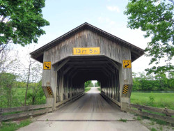 caine road