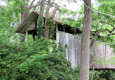 Felton's Mill - 1892