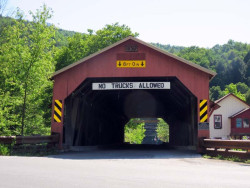 forksville