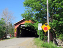 forksville