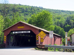 forksville