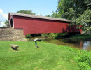 kriedersville