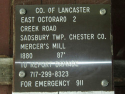 mercer