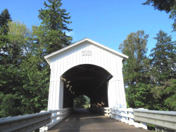 mosby creek