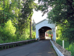 mosby creek