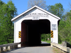 rexleigh