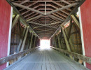 rexleigh