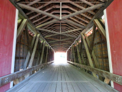 rexleigh