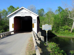 rexleigh