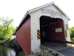 rexleigh
